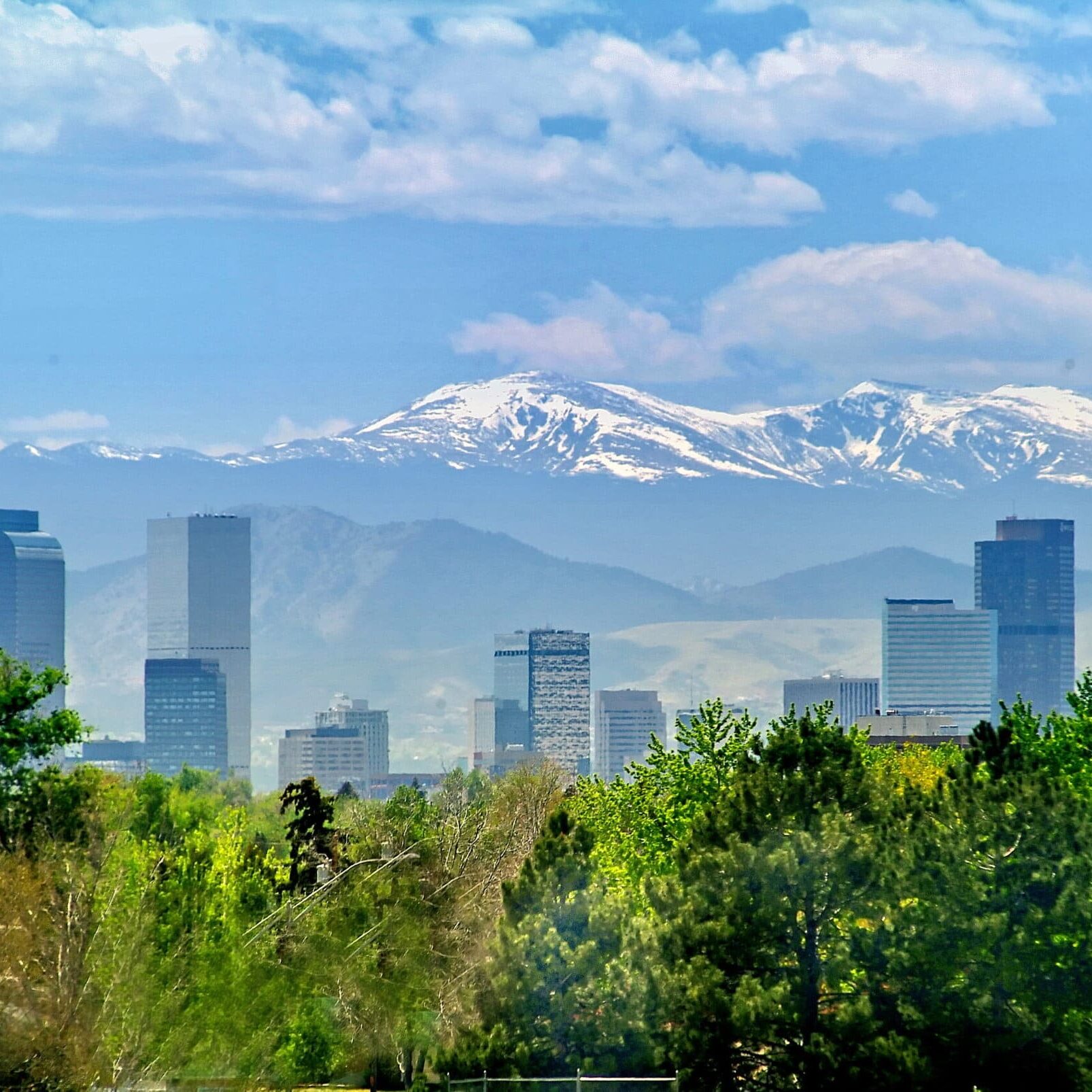 Denver Skyline with Trees Denver Skyline with Trees